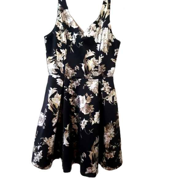 Francesca's Collections Dresses & Skirts - Francesca's Collections Black and White Sleeveless V-Neck Mini Dress